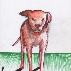 Home decor Art PRINT on paper " Red dog"